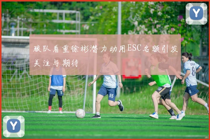 狼队看重徐彬潜力动用ESC名额引发关注与期待