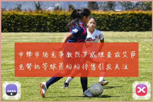 中锋市场竞争激烈罗威理查兹艾萨克弩机等球员纷纷待售引发关注
