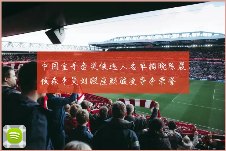 中国金手套奖候选人名单揭晓陈晨侯森李昊刘殿座颜骏凌争夺荣誉