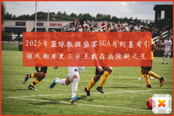 2025年篮球数据盛宴SGA与约基奇引领风潮库里三分王戴森成抢断之王